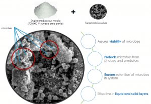 Drylet and brightwork collaboration for bio booster