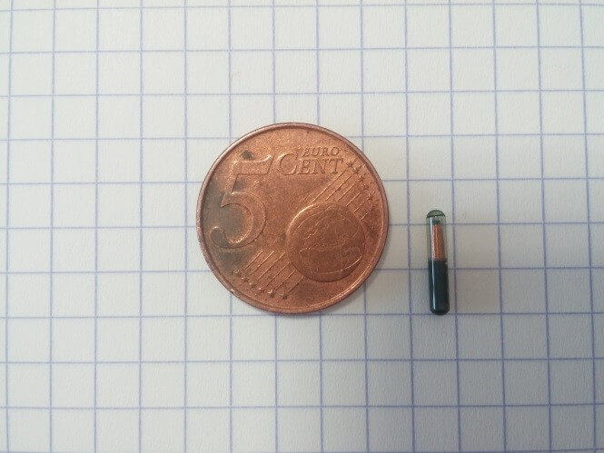 Voorbeeld van de grootte van een zandcyclus met een 5 euro cent